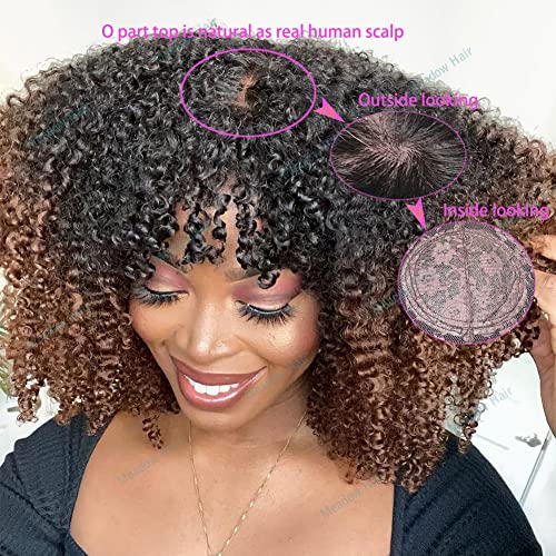 200% gustoća Ombre perike za ljudsku kosu Afro Kinky kovrčava dvobojna perika sa šiškama brazilska Djevičanska