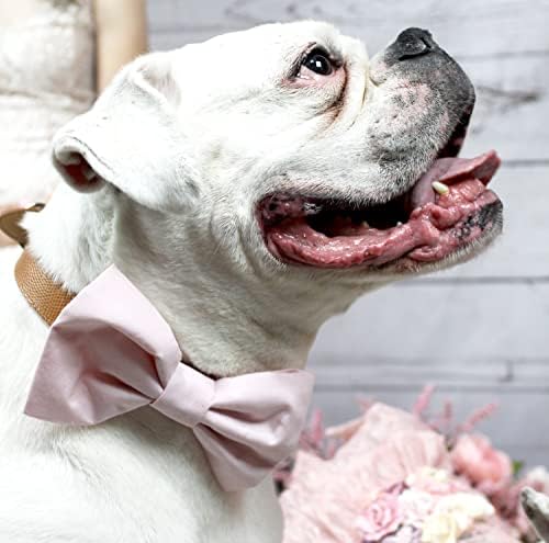 Blijedo ružičasti navratnik za pse, pseća za vjenčanje, rumeni ružičasti bračni ovratnik za pse, službeni