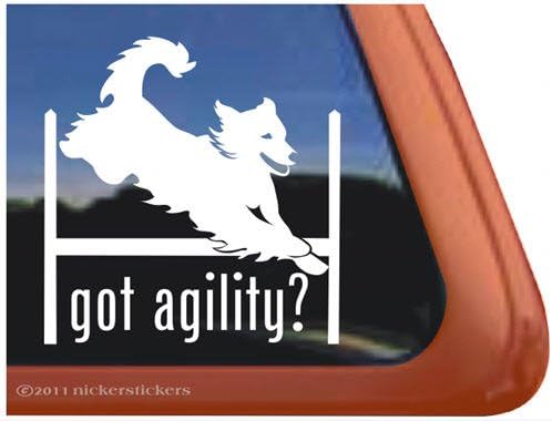 Imate agilnost? ~ Agility Dog Agility Golden Retriever naljepnica vinilnog prozora