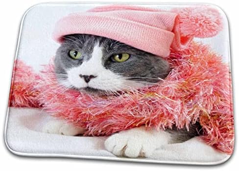 3Droza smiješna mačka s ružičastom odjećom cool mačića kućna ljubimca životinja - prostirke za sušenje jela
