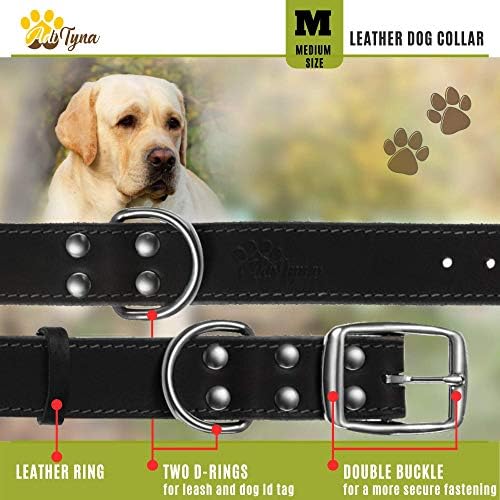 Crni kožni ovratnik za pse i povodac - kožni pas povodac 6 stopa x 5/8 i ovratnik za pse za srednje pse
