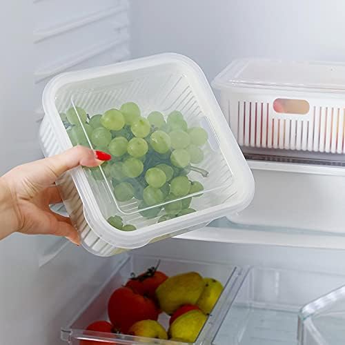 Dvoslojna drenažna korpa multifunkcionalna kvadratna kutija za čuvanje svežeg plastična kuhinjska korpa za čuvanje svežeg voća sa poklopcem
