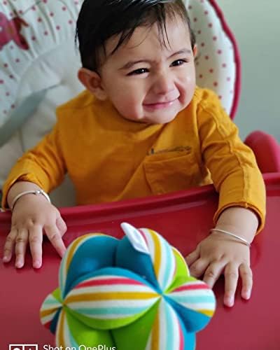 Shumee šarena plišana tkanina - teksturirani razvojni kvačilo sa zveckom unutra za novorođenče, novorođenčad i bebi - senzorne i fine motoričke sposobnosti