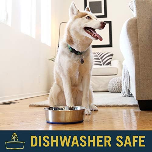 OurPets DuraPet Premium posuda za pse od nerđajućeg čelika za pranje u mašini za pranje sudova za hranu